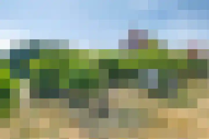 Stekkenberg 3 Groesbeek thumbnail 74