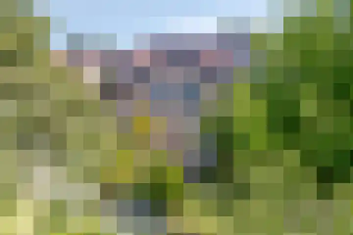 Stekkenberg 3 Groesbeek thumbnail 76