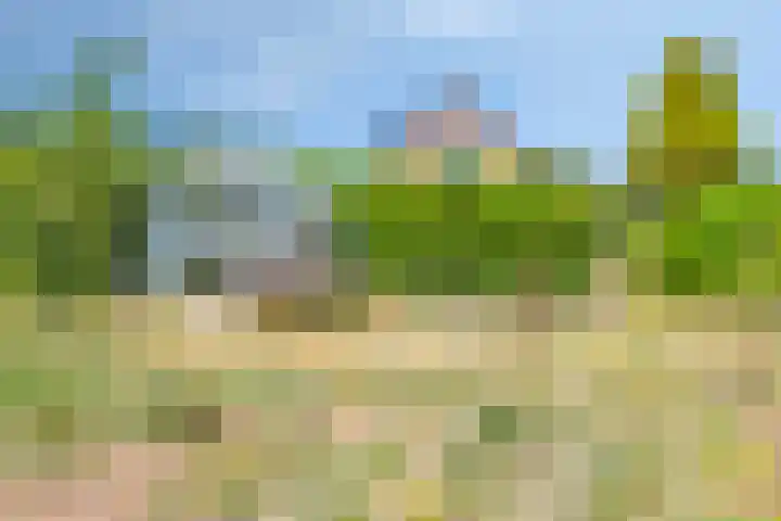 Stekkenberg 3 Groesbeek thumbnail 77