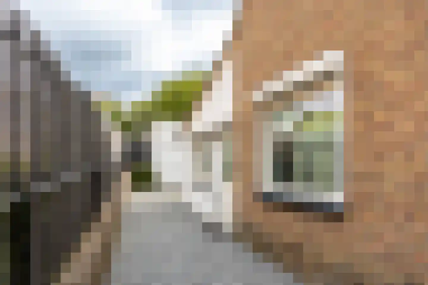 Stekkenberg 34 Groesbeek thumbnail 32