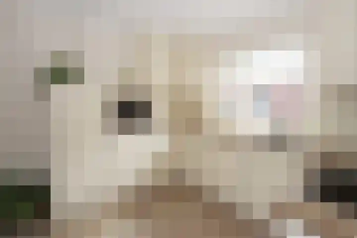 Stekkenberg 35 Groesbeek thumbnail 4