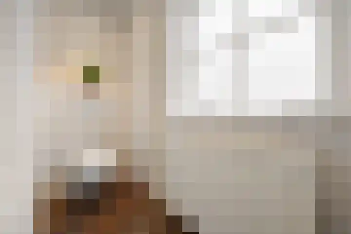 Stekkenberg 47 Groesbeek thumbnail 33
