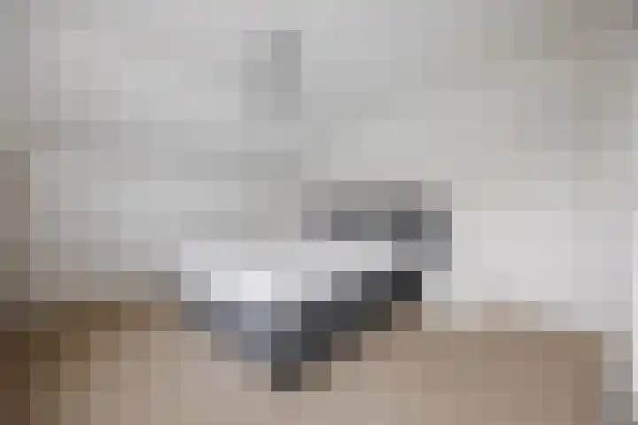 Stekkenberg 47 Groesbeek thumbnail 36