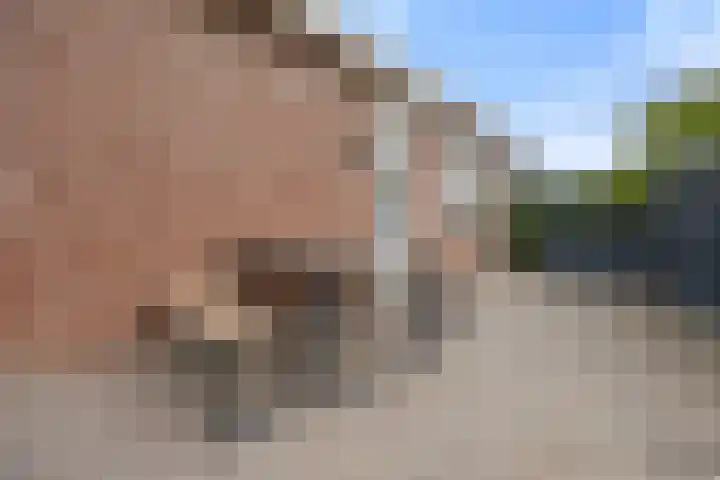 Stekkenberg 47 Groesbeek thumbnail 42