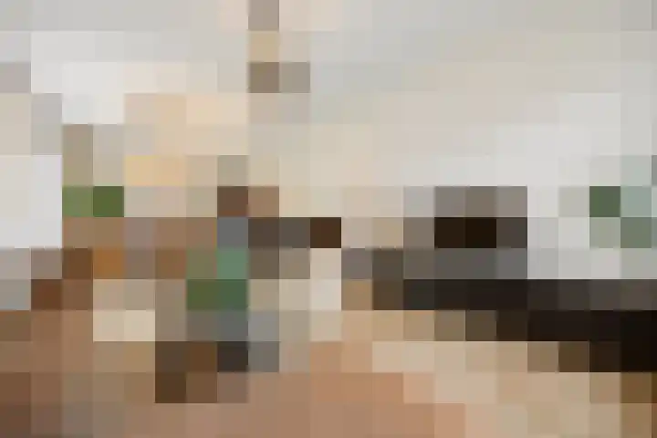 Stekkenberg 47 Groesbeek thumbnail 9