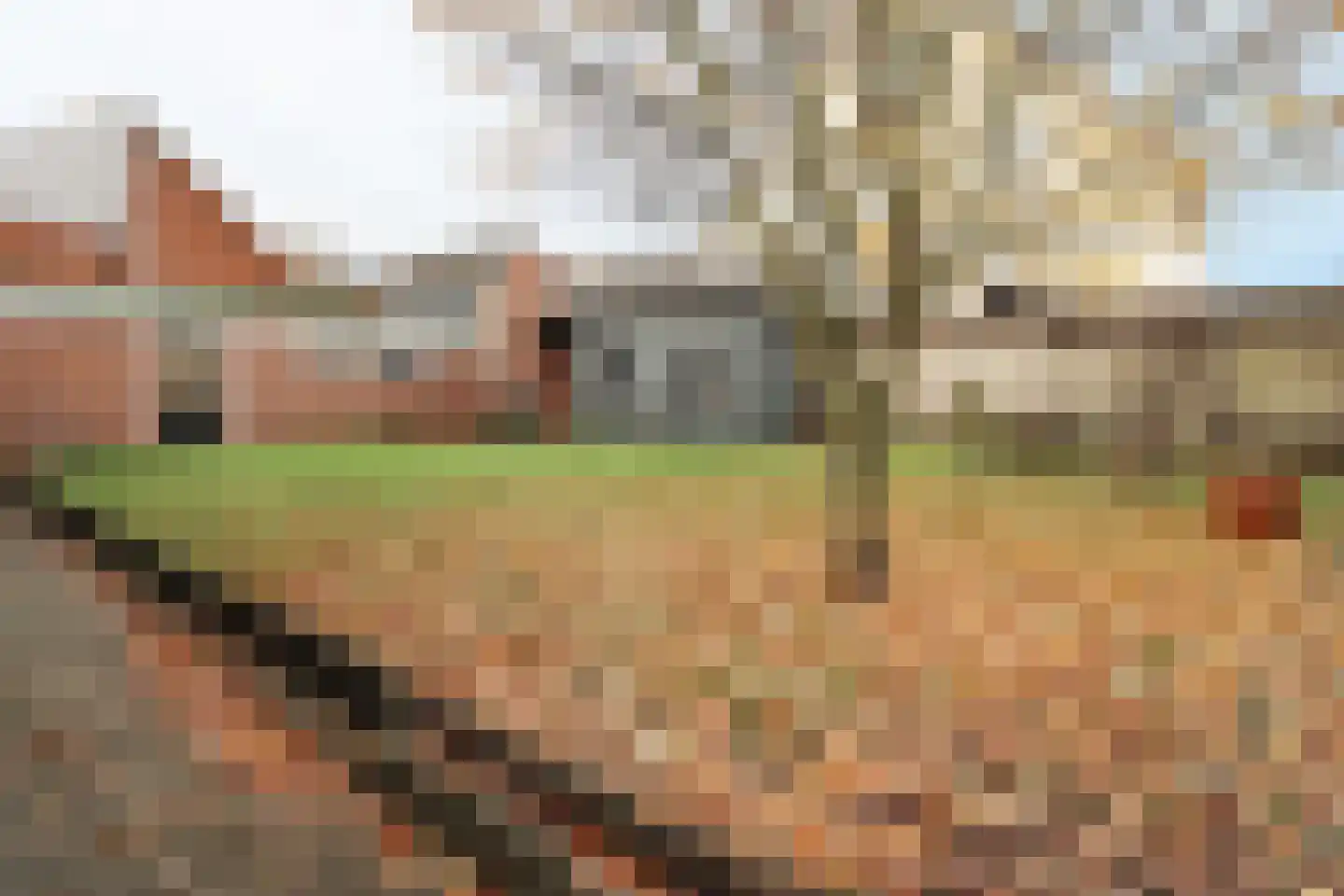Stekkenberg 51 Groesbeek thumbnail 9