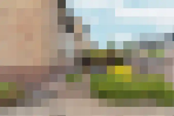 Stekkenberg 57 Groesbeek thumbnail 10