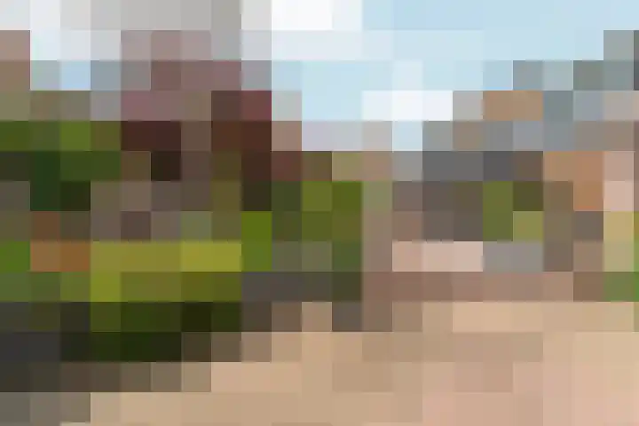 Stekkenberg 57 Groesbeek thumbnail 40