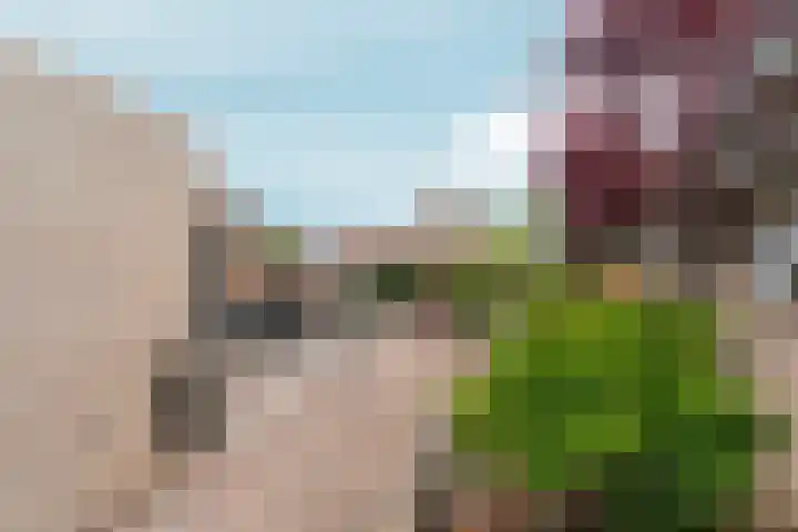 Stekkenberg 57 Groesbeek thumbnail 45