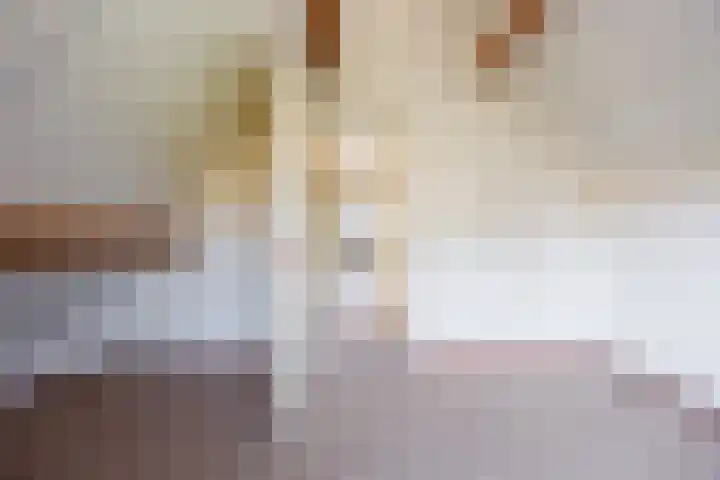 Stekkenberg 6 a Groesbeek thumbnail 20