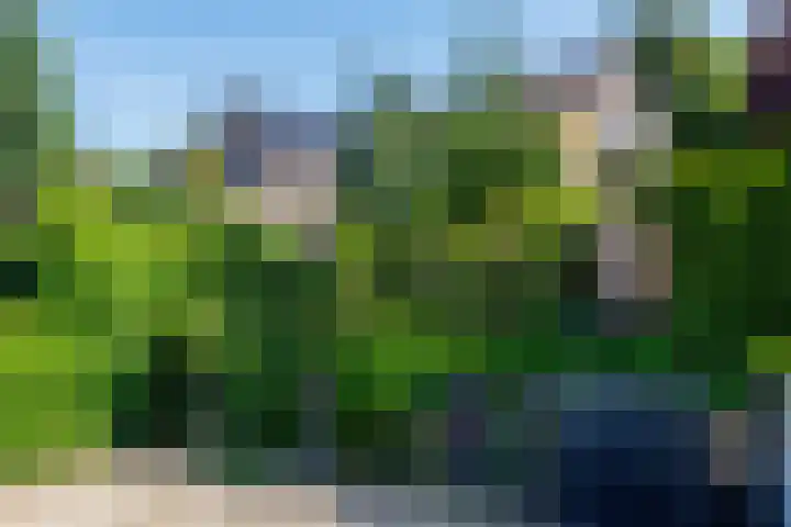 Stekkenberg 6 a Groesbeek thumbnail 26