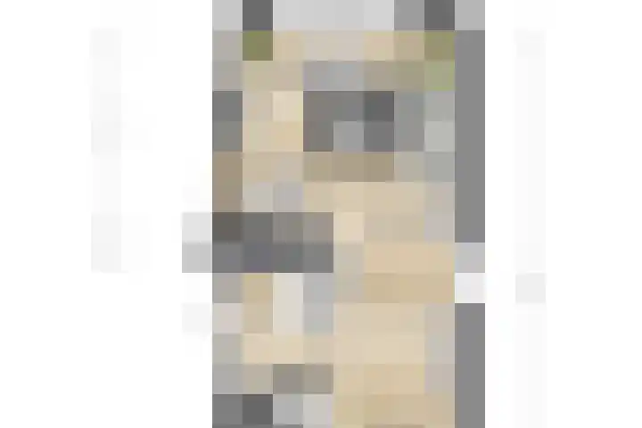 Stekkenberg 6 a Groesbeek thumbnail 36