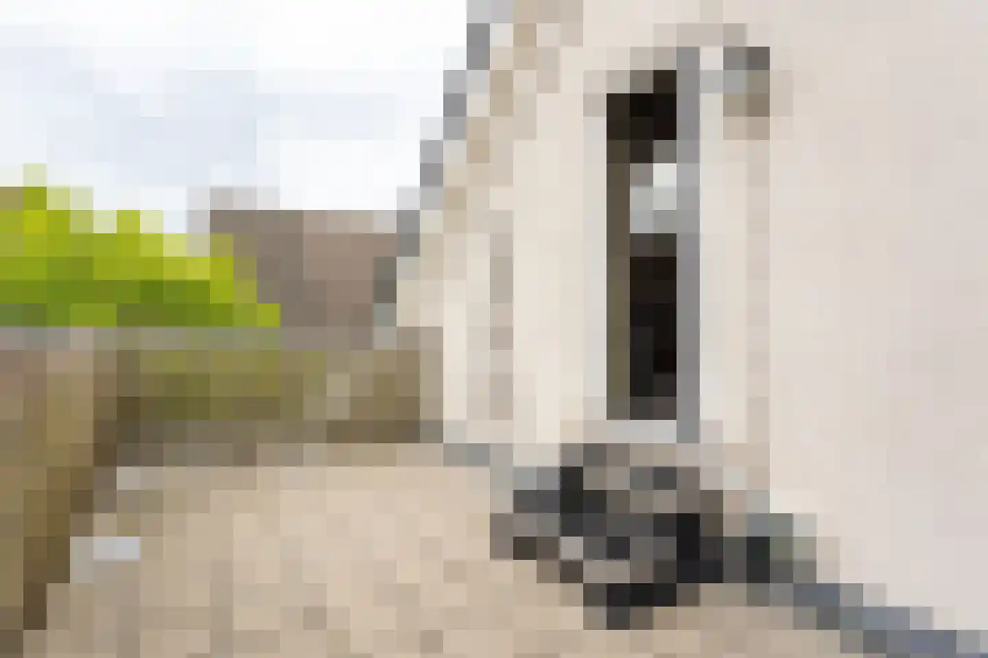 Stekkenberg 9 c Groesbeek thumbnail 15