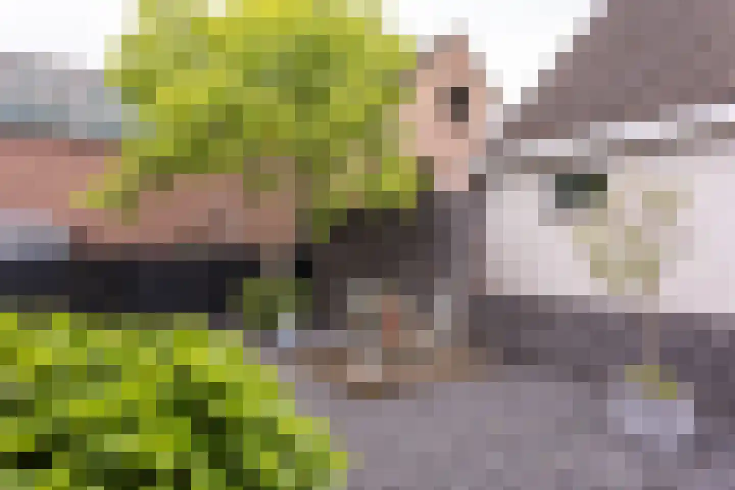 Stekkenberg 9 c Groesbeek thumbnail 25