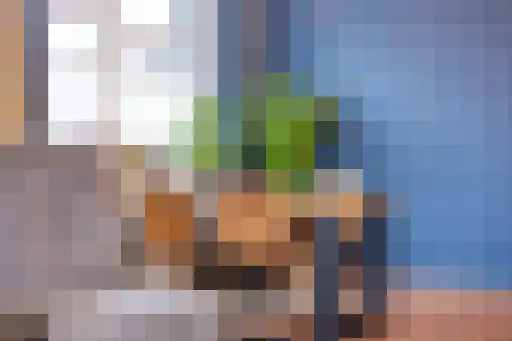 Stekkenberg 96 Groesbeek thumbnail 17