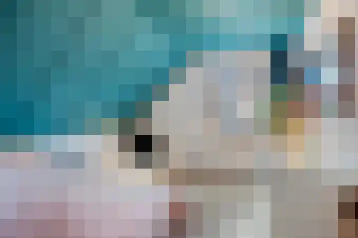Stekkenberg 96 Groesbeek thumbnail 47