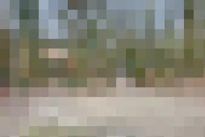 Stekkenberg 96 Groesbeek thumbnail 63