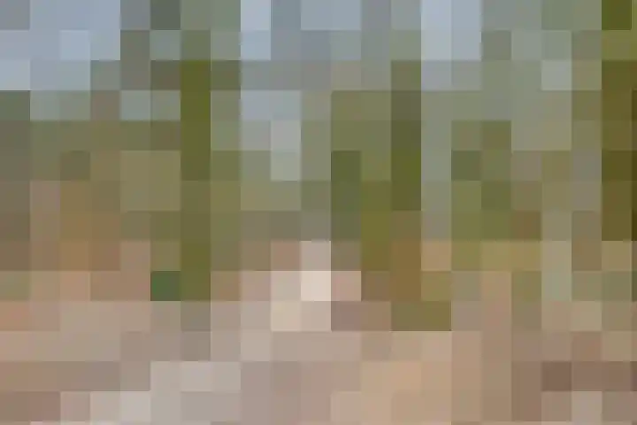 Stekkenberg 96 Groesbeek thumbnail 66