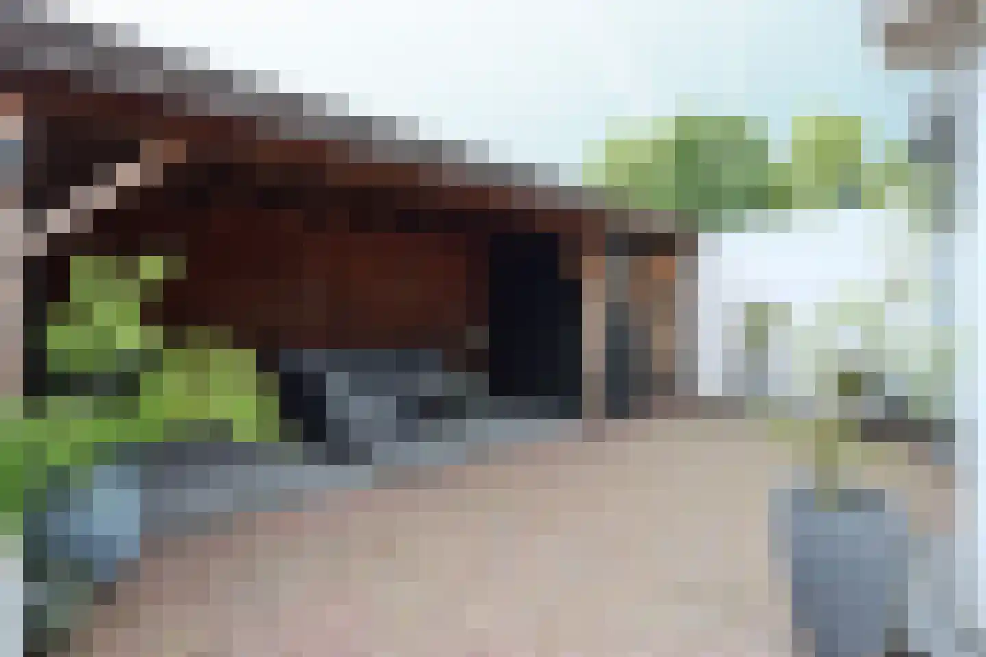Stekkenbergdwarsweg 9 Groesbeek thumbnail 4
