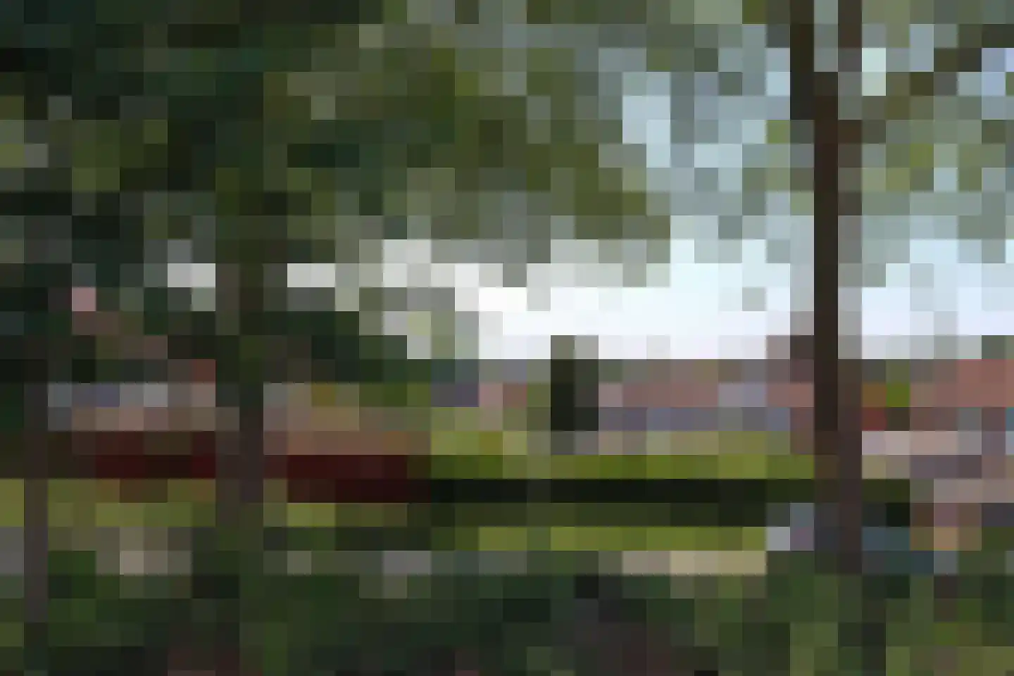 Stekkenbergdwarsweg 9 Groesbeek thumbnail 5