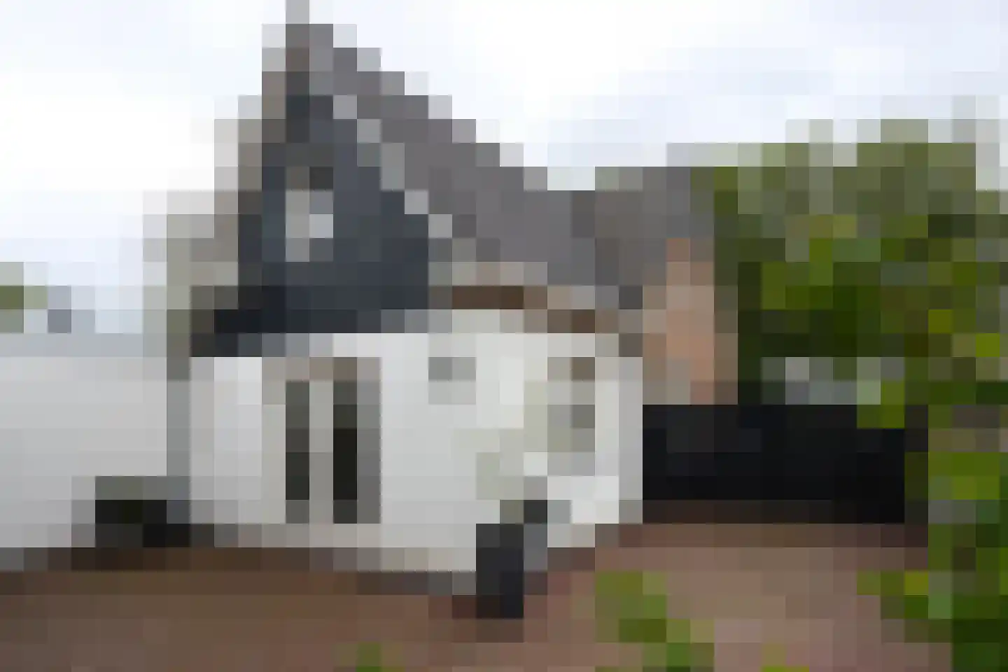 Stekkenbergdwarsweg 9 Groesbeek thumbnail 8