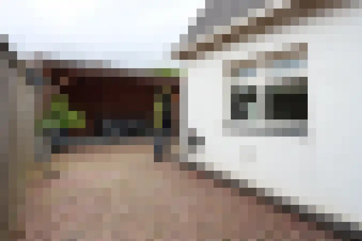 Stekkenbergdwarsweg 9 Groesbeek thumbnail 9
