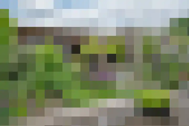 Stekweg 13 Hengelo (Gld) thumbnail 32