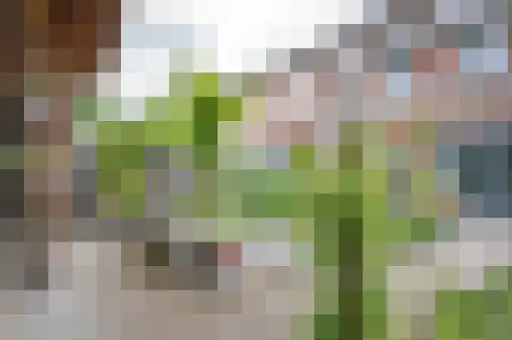 Stekweg 13 Hengelo (Gld) thumbnail 35