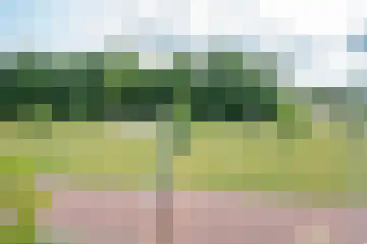 Stekweg 13 Hengelo (Gld) thumbnail 37