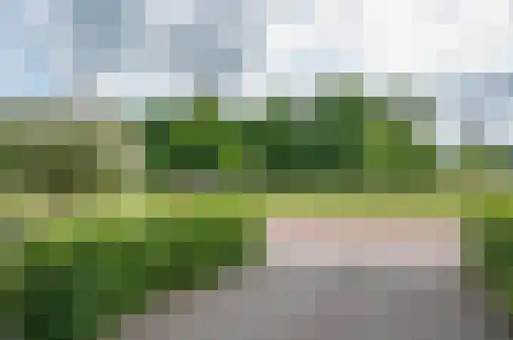 Stekweg 13 Hengelo (Gld) thumbnail 38