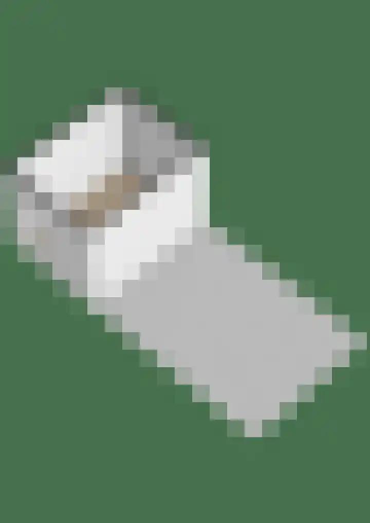 Stekweg 13 Hengelo (Gld) thumbnail 46