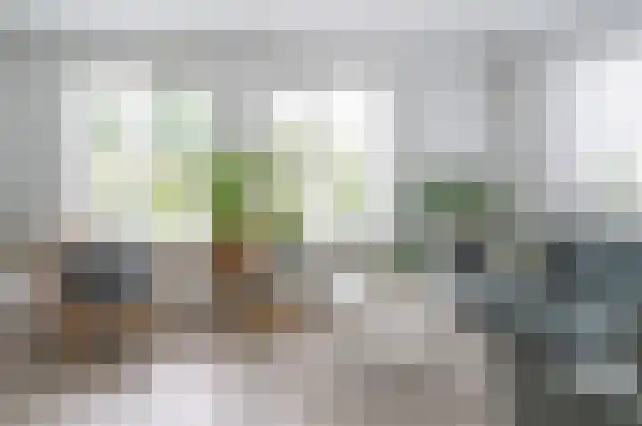 Stekweg 13 Hengelo (Gld) thumbnail 9