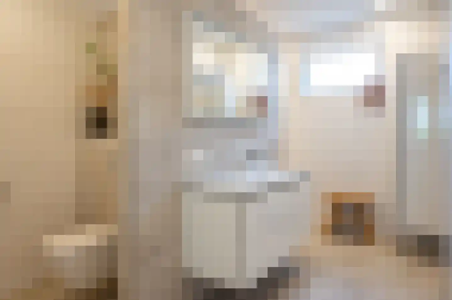 Stekweg 3 Hengelo (Gld) thumbnail 36