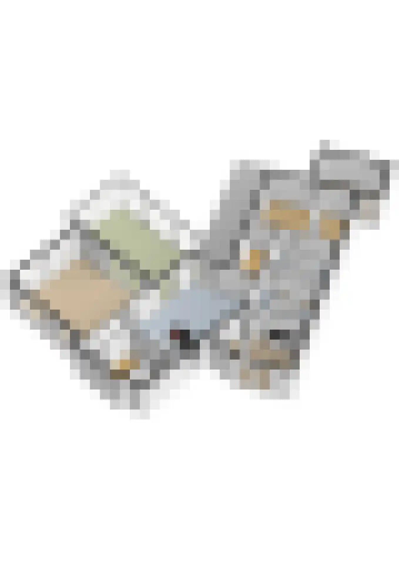 Stekweg 3 Hengelo (Gld) thumbnail 60