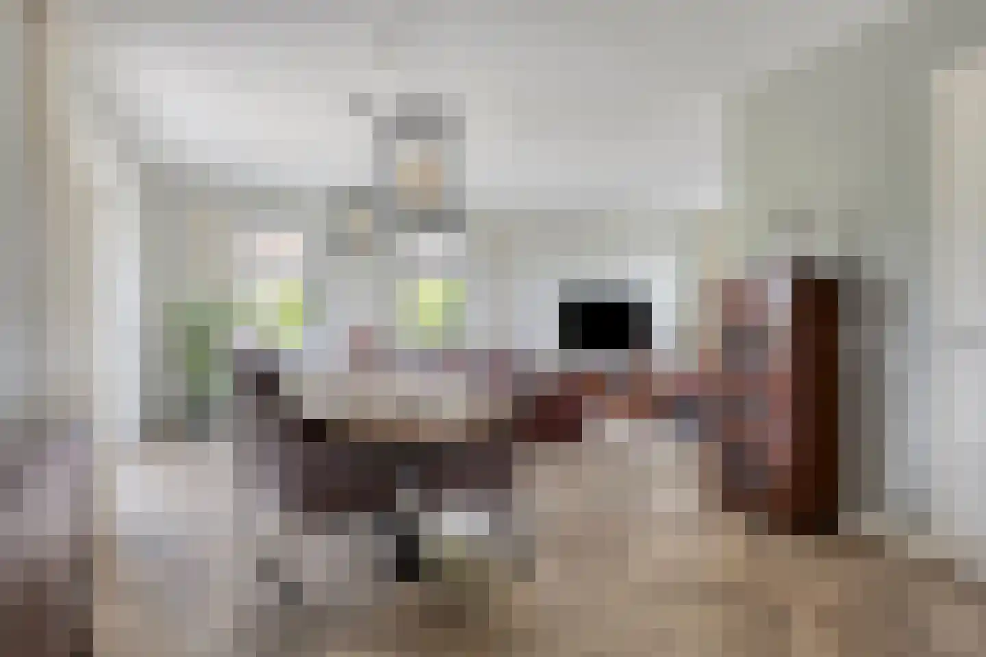 Stekweg 5 Hengelo (Gld) thumbnail 13