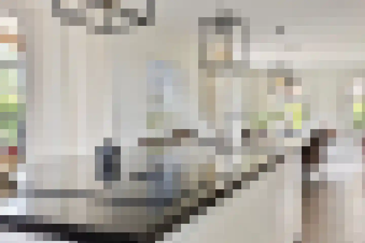 Stekweg 5 Hengelo (Gld) thumbnail 18