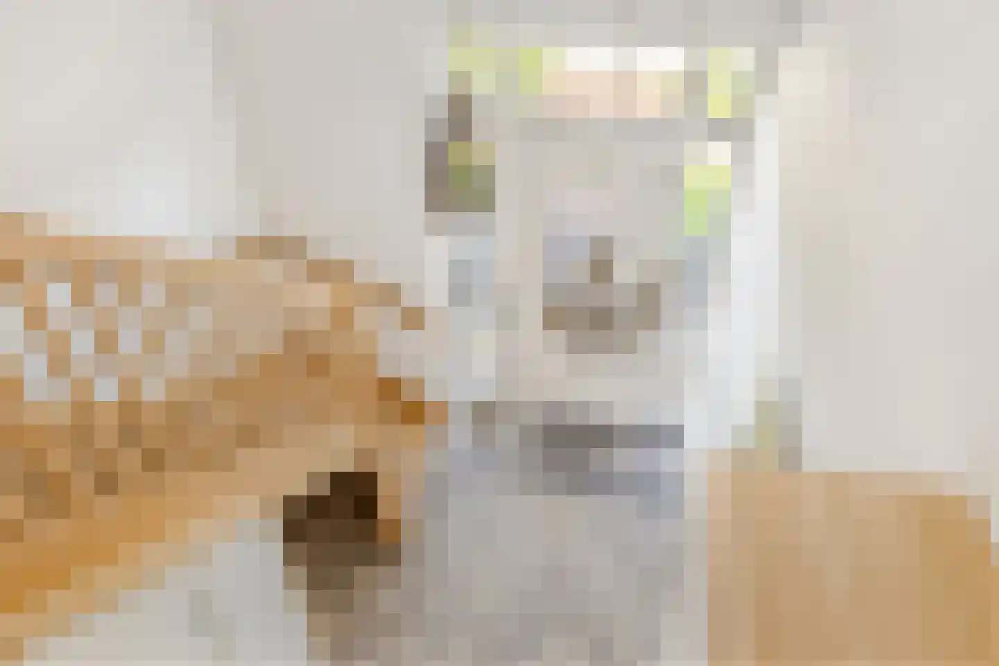 Stekweg 5 Hengelo (Gld) thumbnail 33