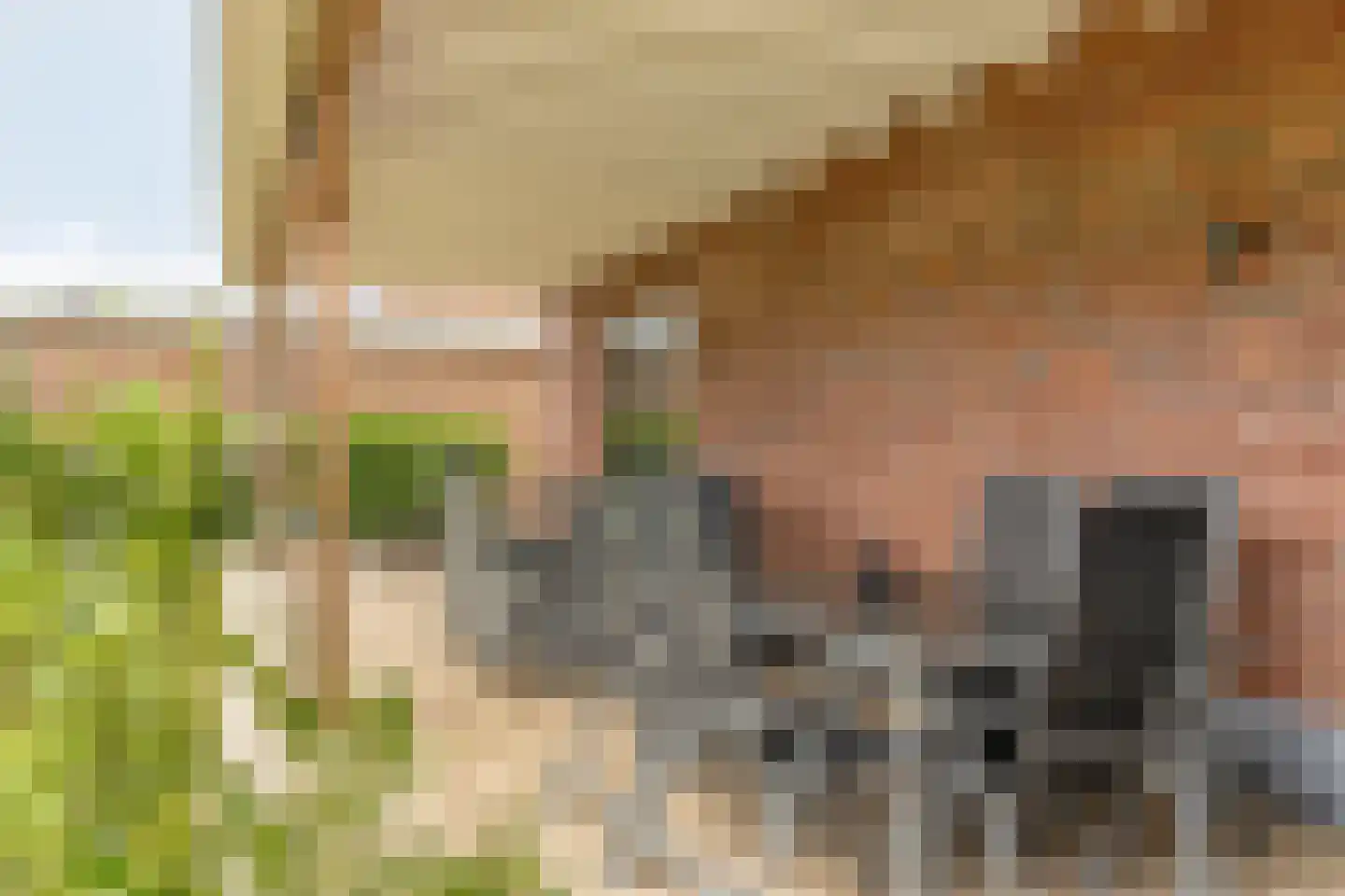 Stekweg 5 Hengelo (Gld) thumbnail 47