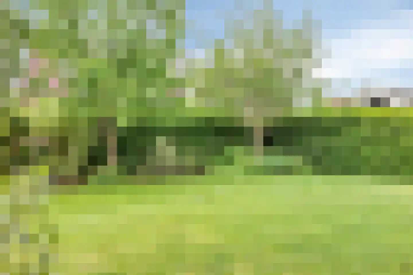 Stekweg 5 Hengelo (Gld) thumbnail 49