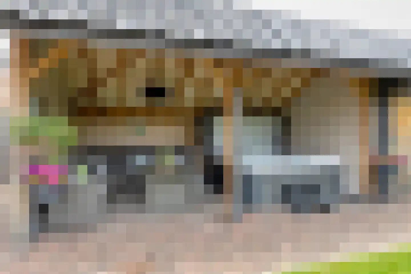 Stekweg 5 Hengelo (Gld) thumbnail 5