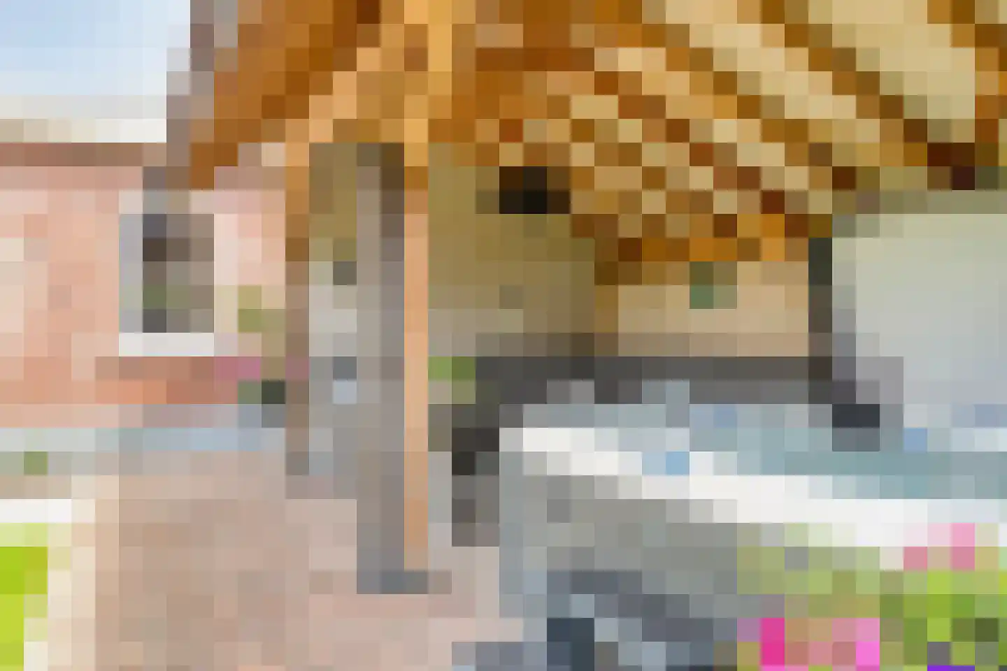 Stekweg 5 Hengelo (Gld) thumbnail 50