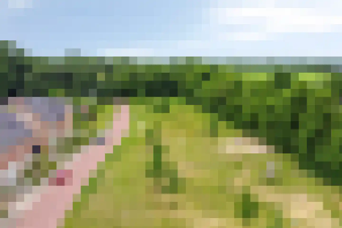 Stekweg 5 Hengelo (Gld) thumbnail 54