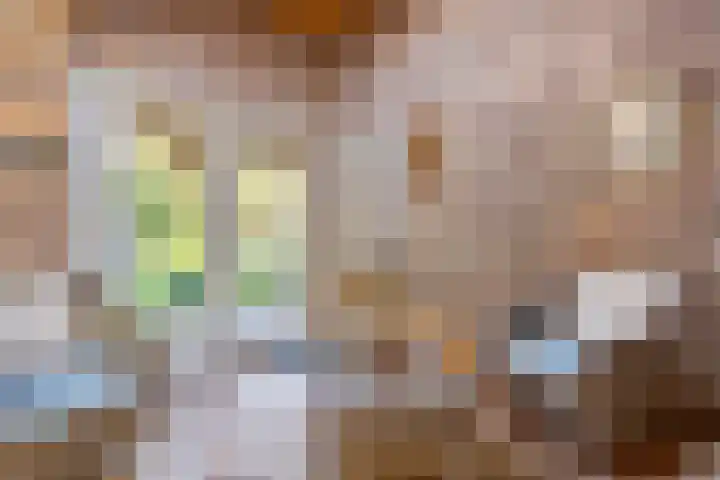 Stelbergstraat 23 Bruinisse thumbnail 12