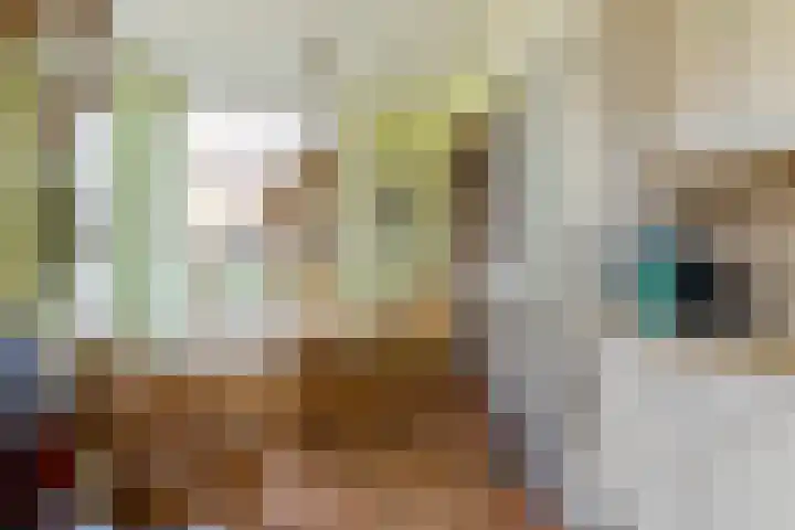 Stelbergstraat 23 Bruinisse thumbnail 15