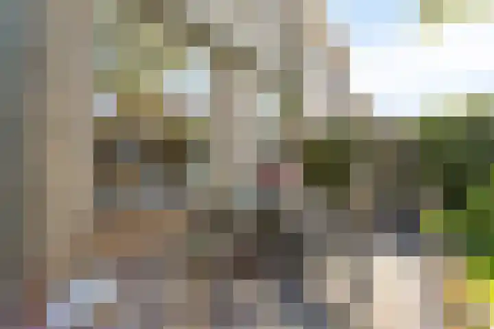 Stelbergstraat 23 Bruinisse thumbnail 33