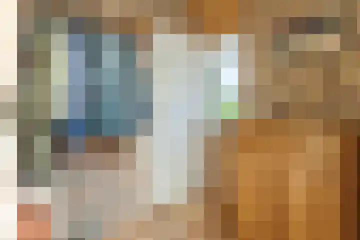 Stelbergstraat 23 Bruinisse thumbnail 5