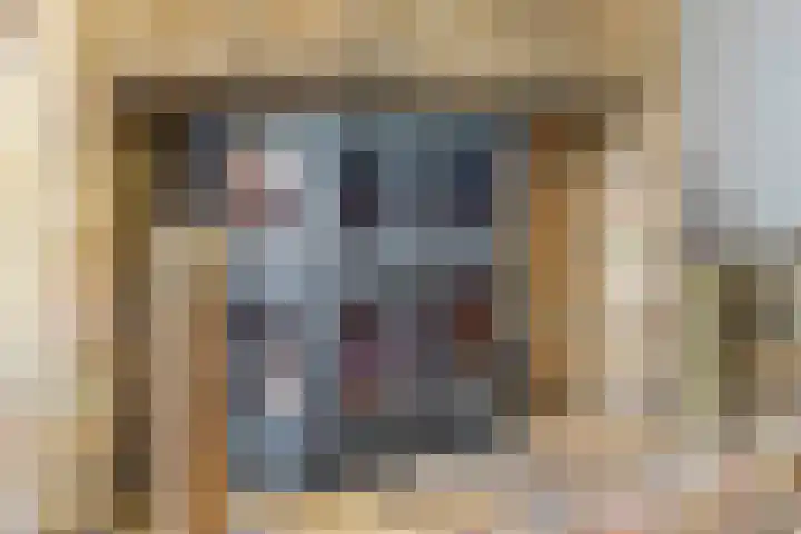 Stelbergstraat 23 Bruinisse thumbnail 9