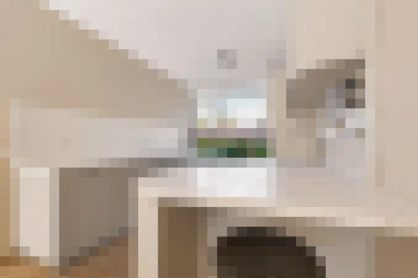 Stelkamp 14 Vianen thumbnail 16