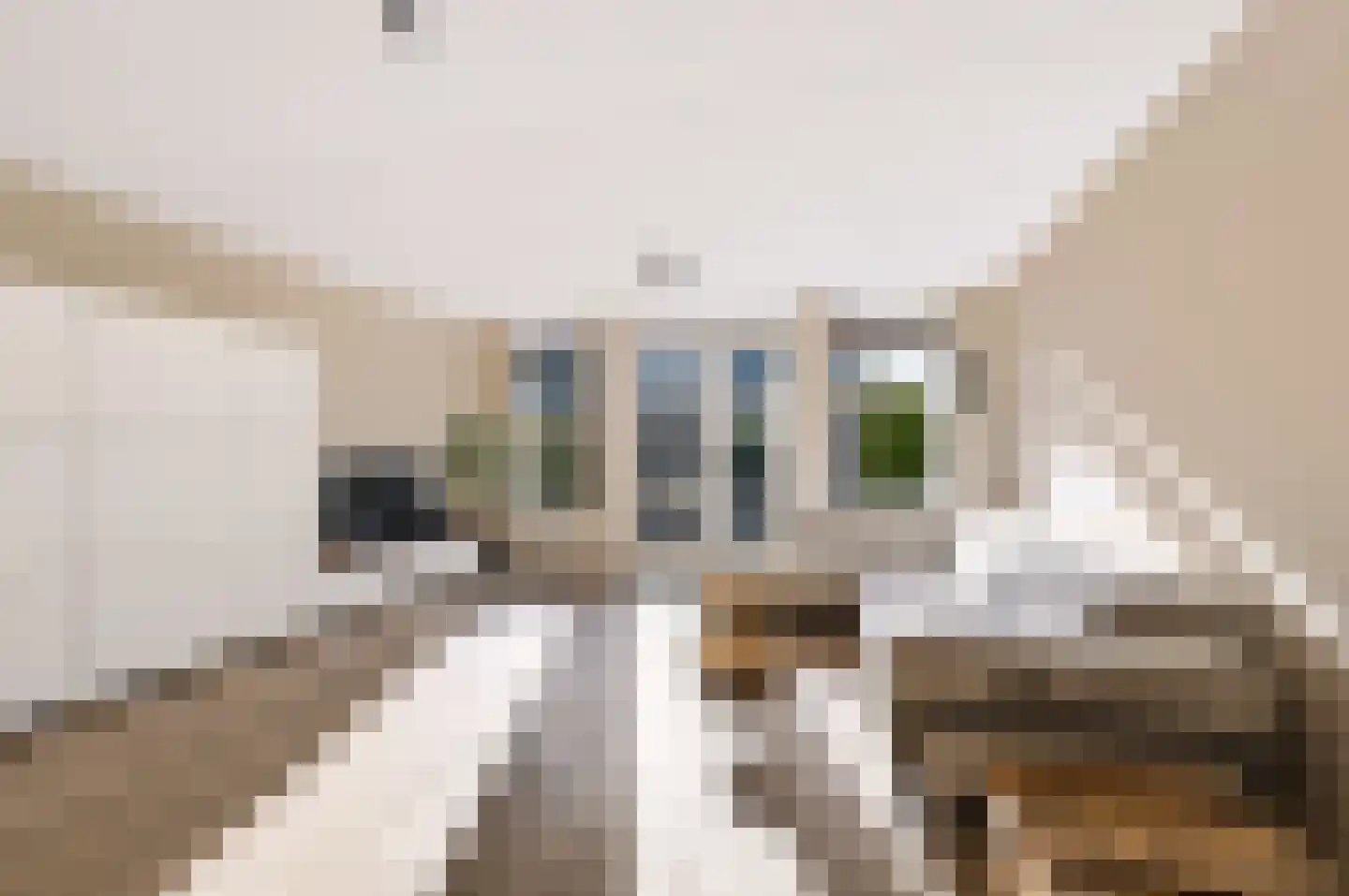 Stelkamp 14 Vianen thumbnail 24