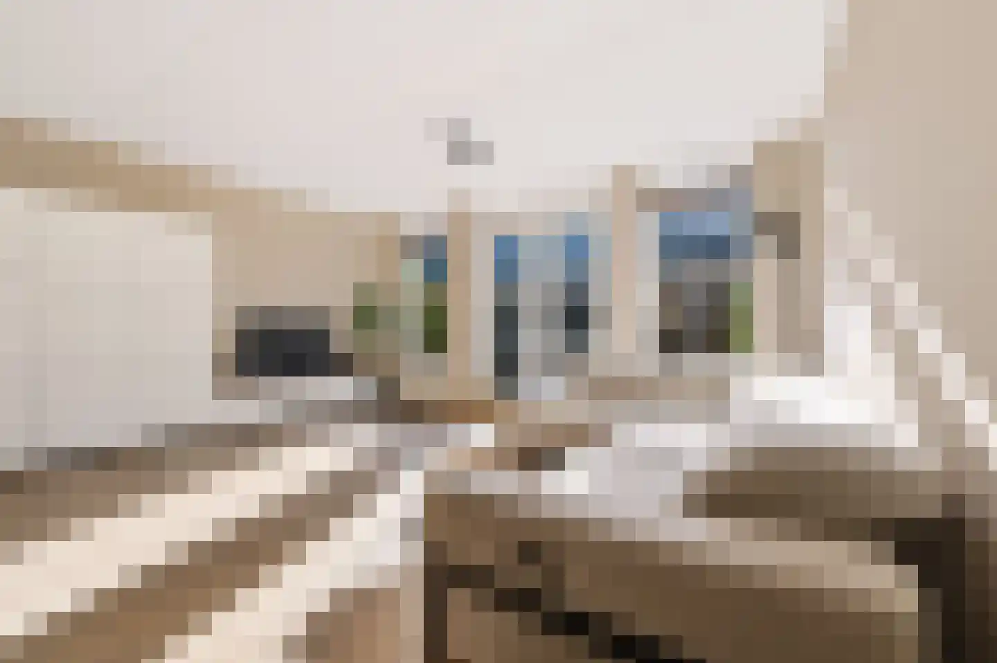 Stelkamp 14 Vianen thumbnail 25
